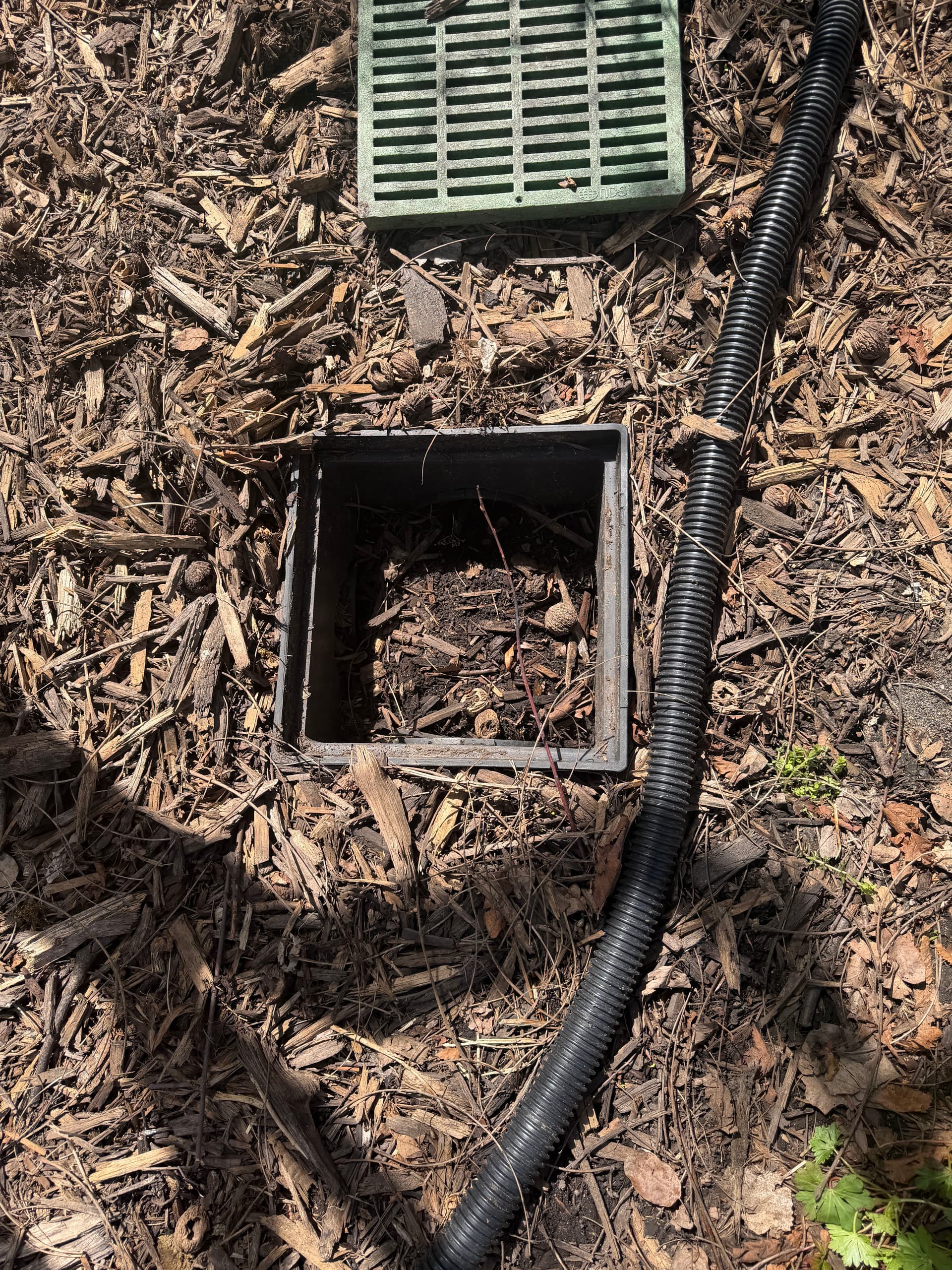 Is Your Catch Basin Due for a Checkup? image