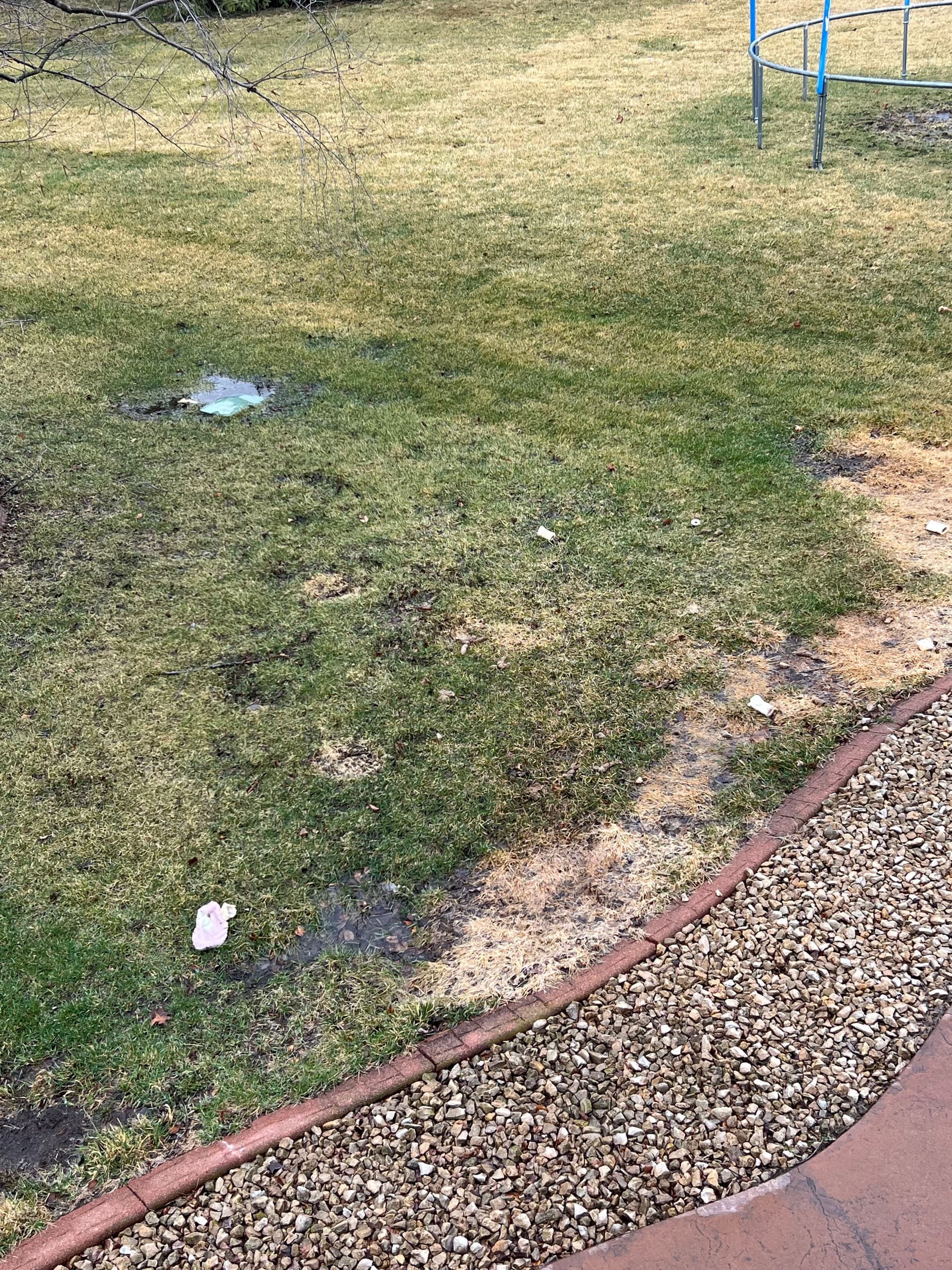 Your Soggy Backyard Is Trying to Tell You Something