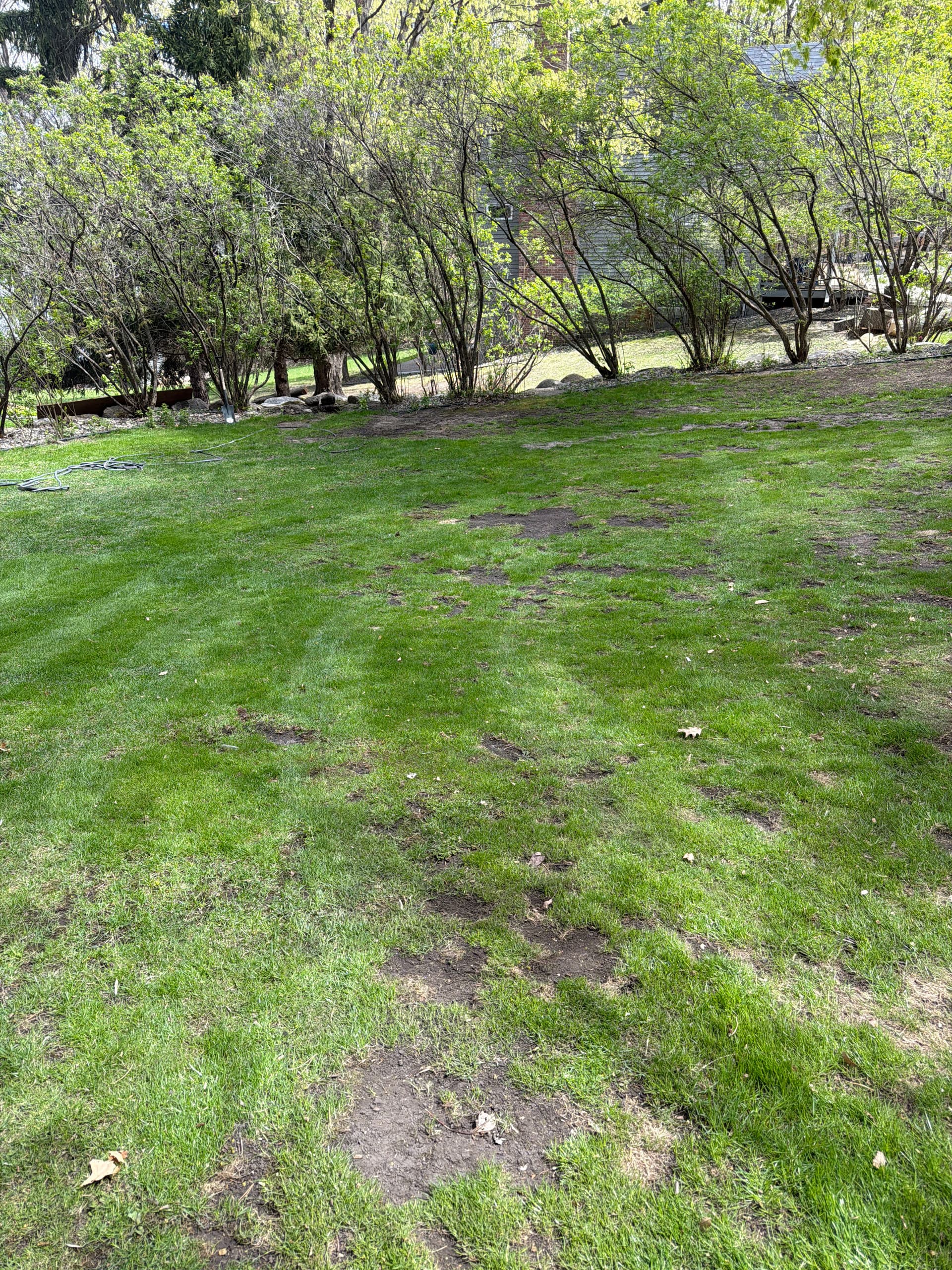 When Your Lawn Stays Soggy After Rain It's Time to Fix the Drainage image