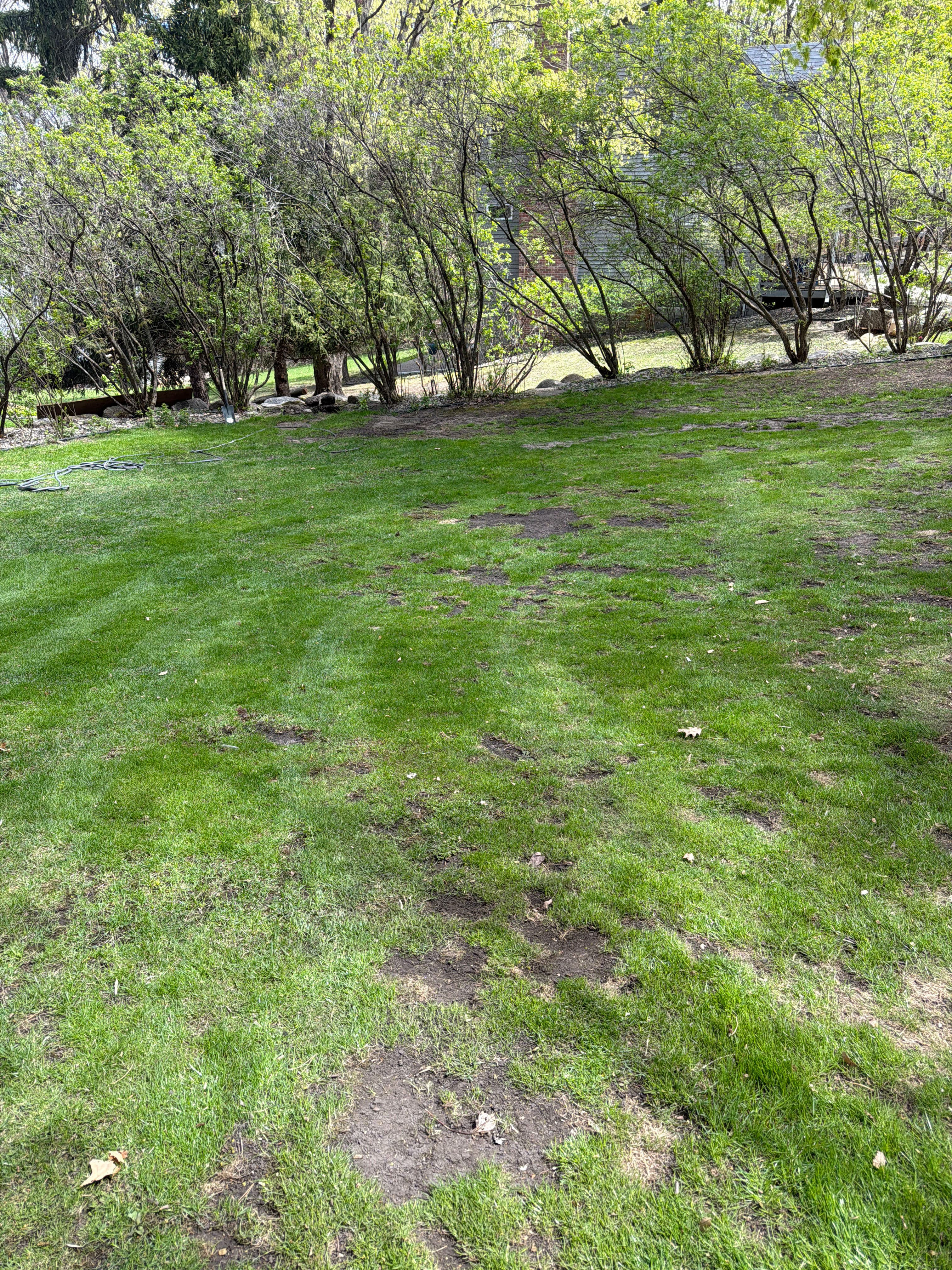Project When Your Lawn Stays Soggy After Rain It's Time to Fix the Drainage image