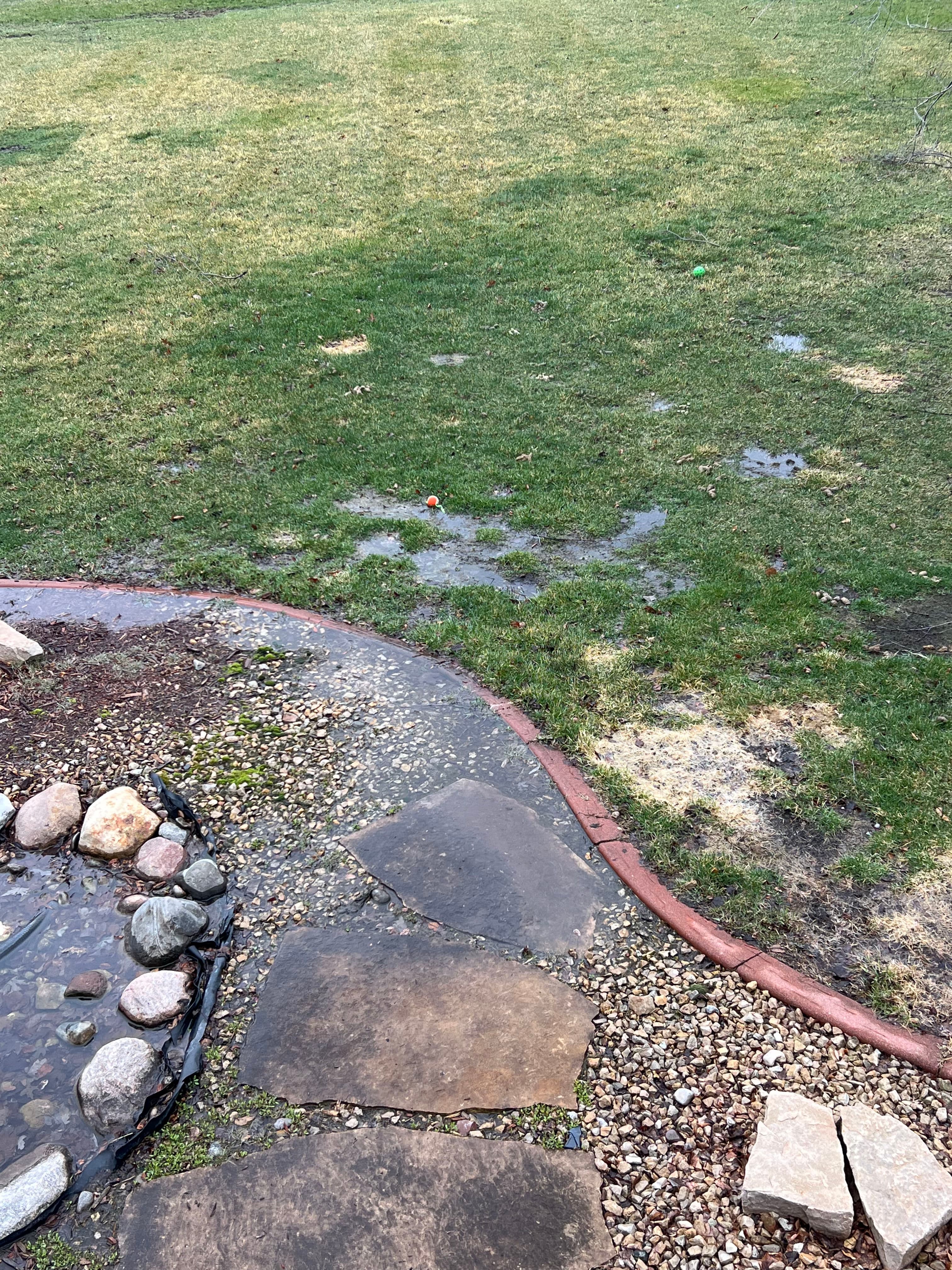 Project Your Soggy Backyard Is Trying to Tell You Something image