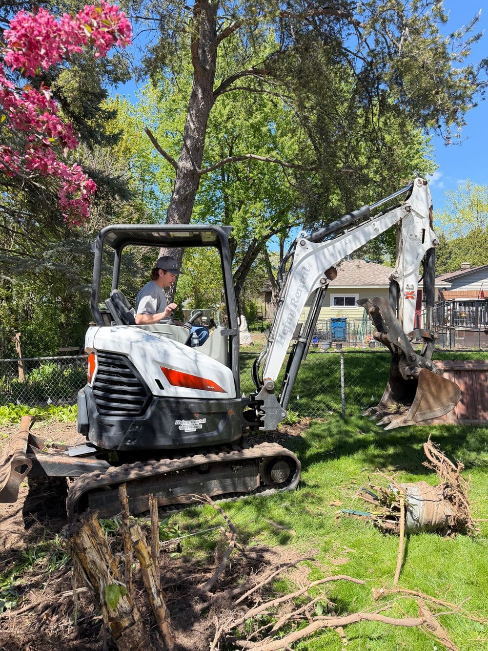 Person operating a mini excavator to remove tree stumps in a residential yard.